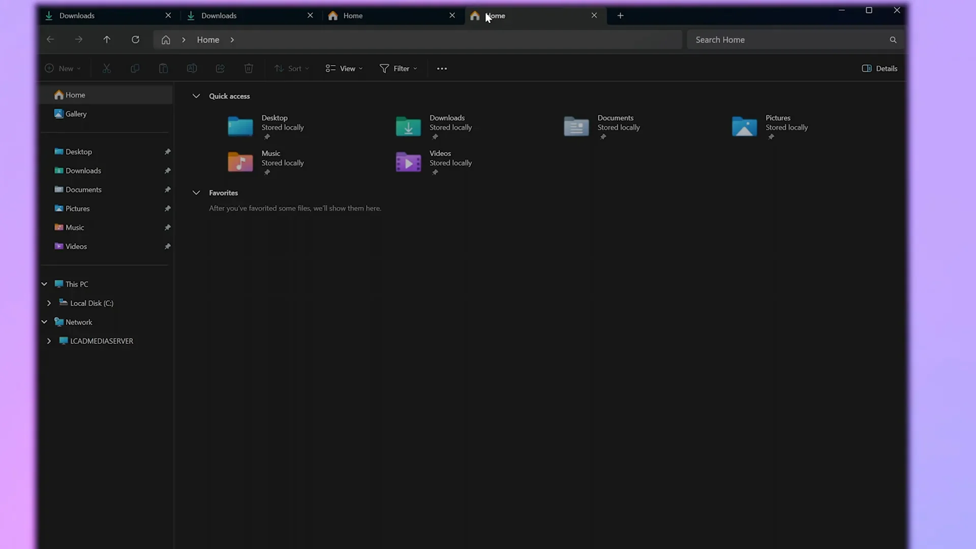 Windows File Explorer sidebar and folder structure